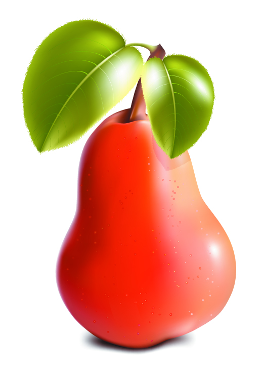 free vector Apple and pear ultrarealistic vector